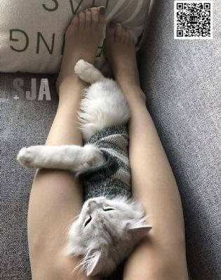 国产ar视频免费下载_BD韩语免费高清观看